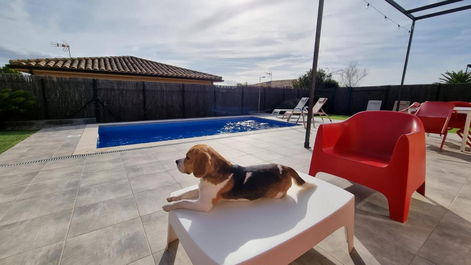 Villas Medes Mar - Plus Costa Brava L'Estartit Exteriör bild