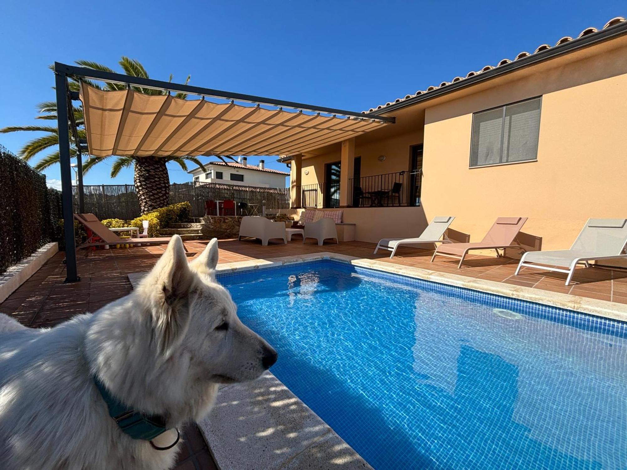 Villas Medes Mar - Plus Costa Brava L'Estartit Exteriör bild